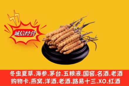 浠水县回收虫草多少钱每克